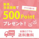 新規会員登録でポイントプレゼント