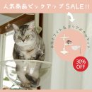 売れ筋商品の限定セール