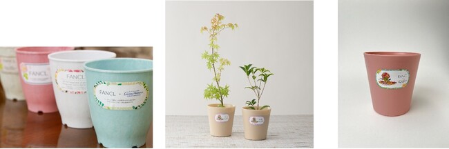 ファンケル、アップサイクルした植木鉢寄贈数が25,000鉢を突破！