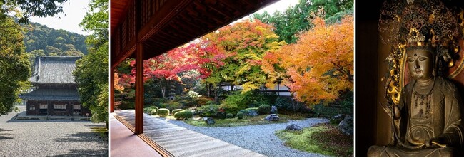 御寺（みてら）泉涌寺　美しさは静けさのなかに
