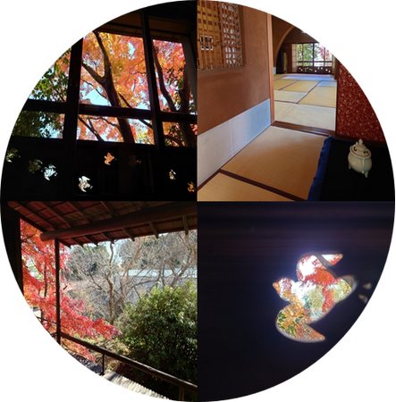 〈アートと文学〉を味わう茶会はいかが、大佛次郎記念館の初冬の風情漂う和室で