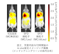 【名城大学】肺に効率的に届けて長く留まる機能性吸入粉末薬を設計