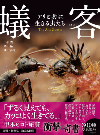 TBS「クレイジー・ジャーニー」でも話題爆発！ 甲本ヒロト氏絶賛『蟻客 アリと共に生きる虫たち』、好評発売中！