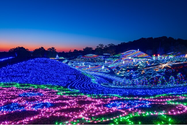 大人気イルミネーションイベント「ウィンターファンタジー」開催！！（国営讃岐まんのう公園）