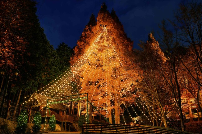 神戸クリスマスマーケット、ナイター営業日をさらに拡大！12/12（金）～25（木）の14日間、毎日ナイター営業を実施。12/20（土）～25（木）はスペシャルランチ＆ディナーも登場（予約受付中）。