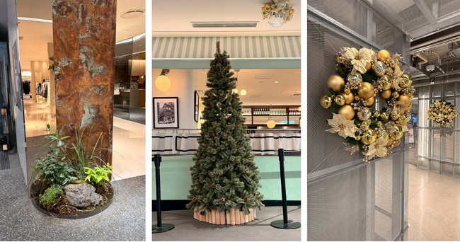 【京都高島屋S.C.専門店ゾーン［T8］】冬の装飾「Christmas Green at T8 - 自然の気配とともに -」を展開！