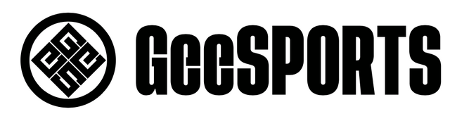 GeeSports(ジースポーツ)用ゲーム『Gerogue(ジェローグ)』、「京都府知事杯シニア・ジュニアeスポーツ大会」の競技タイトルに採用決定