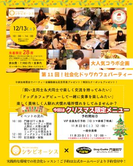 第11回社会化ドッグカフェパーティー 第11回社会化ドッグカフェパーティー