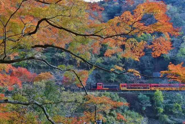 【快挙】保津峡をはしる嵯峨野トロッコ列車のトンネルや鉄橋など１８基が、国の文化財に！