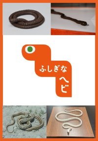 自在置物のヘビが動き出す！文理融合型の展示キット「ふしぎなヘビ」貸し出し申し込みの募集を開始いたします