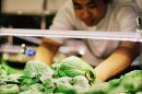 わさびに特化した屋内栽培システム2 わさびに特化した屋内栽培システム2