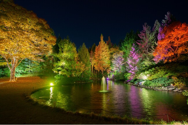 【仙台ロイヤルパークホテル】ジャズナイト×ガーデンライトアップ