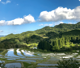 大山千枚田保存会