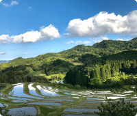 都心から約90分の“日本の原風景”千葉・鴨川の里山エリアで楽しむ　古民家宿＆カフェ5選