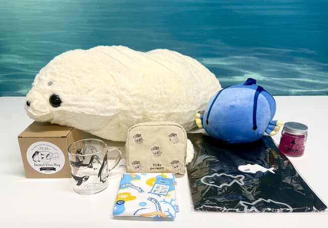 マニアックな水族館の裏側見学や飼育スタッフ体験などの特別体験も！「エイの歯」や「ペンギンの羽」など生き物の“落とし玉”が付いた サンシャイン水族館 オリジナル福袋2026を限定120個販売 