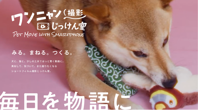 ガムテープとタッパーで映画のワンシーンを再現！？愛犬・愛猫を可愛く撮る