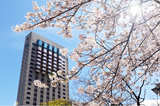 快適・安心なホテルから受験会場へ！心を込めたサポートが嬉しい受験生プラン、販売中