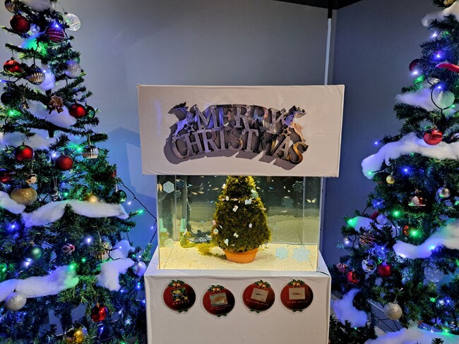暮らしに寄り添う水族館　スマートアクアリウム静岡 ～クリスマス特別水槽 クリスモスツリー～「スマートアクアリウムクリスマス2025」を開催！