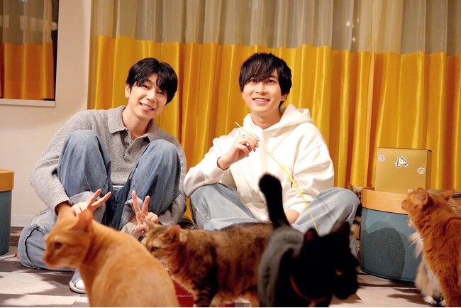 声優・中島ヨシキ＆西山宏太朗、猫だけのライブ配信アプリ「nekochan」で“猫尽くしの生配信”を実施！