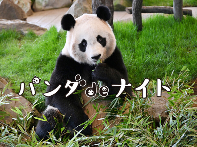 想いをつなぐ、“パンダの夜” 再び。『パンダdeナイトIII』開催決定！ ２０２６年１月２３日（金）