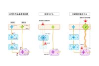 弘前大学医学研究科の引地浩基助手らの研究グループが抗精神病薬の副作用である遅発性ジスキネジアの発症機序を解明