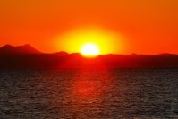 京急オープントップバスで行く!初日の出・富士山鑑賞バスツアー