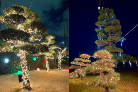 ナイトイルミネーション2024の様子