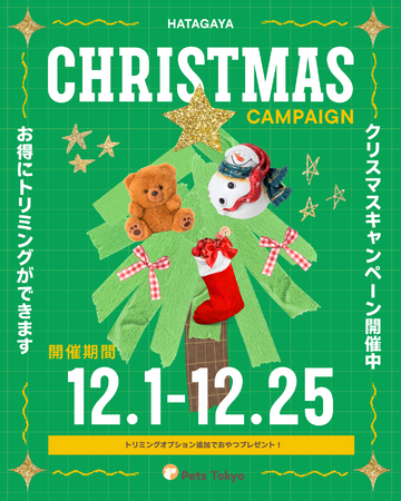 【PetsTokyo 幡ヶ谷店】トリミングクリスマスキャンペーンを12月より開催｜