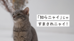 ～九都県市連携企画～　事業者への「プラスチックごみの分別啓発」を共同で行います