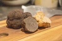 浅草の豚肉専門店の【豚とトリュフの特別コース】年に一度の特別コースを2025年12月より提供開始──希少ブランド豚と季節トリュフの贅沢コース