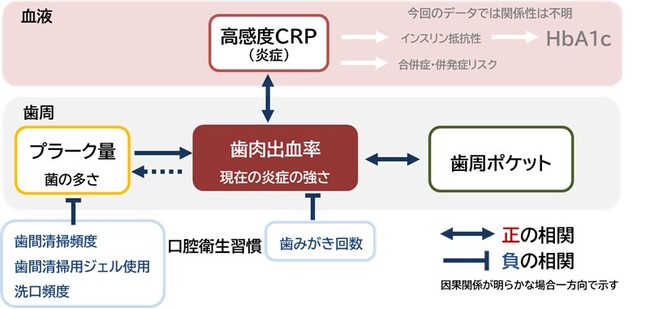 糖尿病の状態により歯ぐきの出血反応に差があることが判明　歯周病安定・維持期も血液指標を用いたリスク別対応が重要