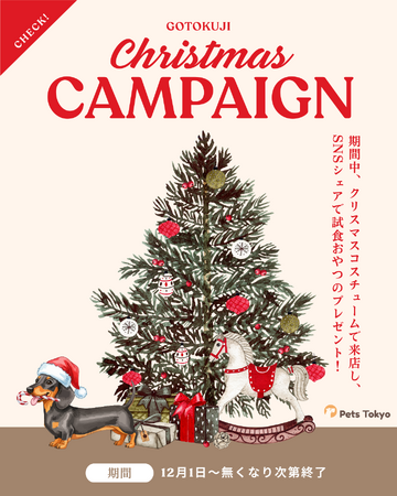 【PetsTokyo 豪徳寺店】クリスマスおやつプレゼントキャンペーンを12月より開催｜