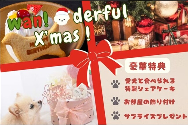 【ワンダフルX’masプランのご紹介】愛犬と味わうシェアケーキ＆プレゼント付きプランを販売開始～ドッグヴィラ千葉南房総～