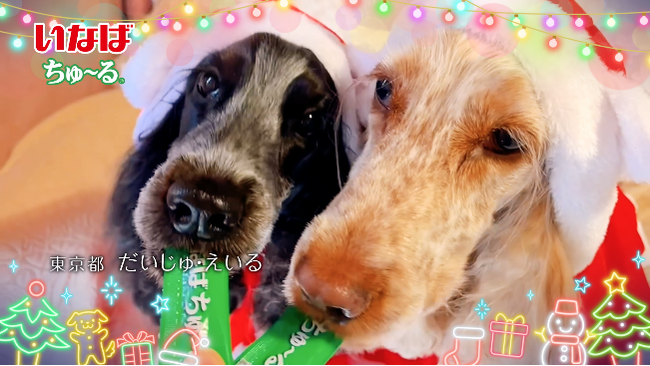 いなばペットフード 全国のわんちゃんが登場!「ちゅ~る」クリスマスTVCM動画を公開