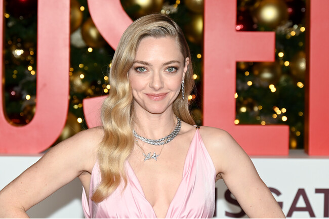【TIFFANY & CO.】アマンダ・サイフリッドが映画『ハウスメイド』ニューヨーク プレミアにティファニーを纏い登場