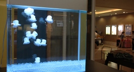 【山梨県限定】オフィス・医療・飲食店に“癒し”を。人工クラゲ水槽の無料導入相談を受付（〜1/25〈日〉）｜想芸館