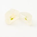 琥珀 レモンの雫(京檸檬)中身 琥珀 レモンの雫(京檸檬)中身