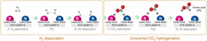 【横浜市立大学】FLP-MOF触媒の作用機構解明により設計を高速化