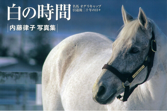 サラブレッド写真家“レジェンド”内藤律子が綴る、あのオグリキャップの「それから」。写真集『白の時間 復刻版 名馬オグリキャップ引退後二十年の日々』発売！