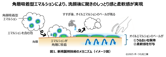 角層吸着型エマルションを搭載した新スキンケア洗顔料を開発