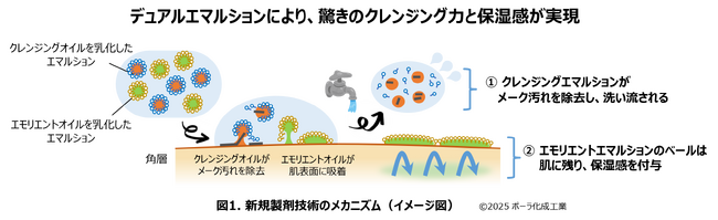 クリームクレンジングで「高いクレンジング力」＋「保湿感」を両立