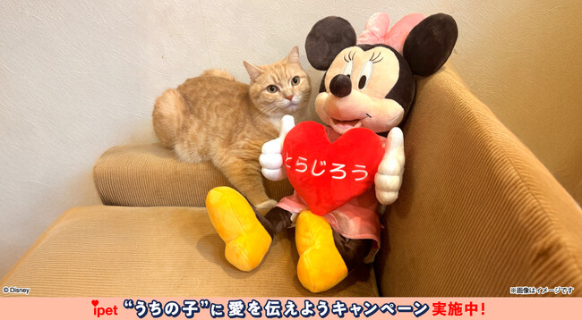 アンケートへのご回答だけ！ディズニーデザインのグッズが抽選で当たる感謝のキャンペーン第三弾