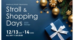 Stroll & Shopping Days 2025 winter