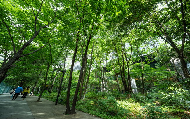 大手町タワー（大手町の森）が第６回グリーンインフラ大賞「国土交通大臣賞」を受賞　「都市における自然環境の再生」を目指し続けた12 年の歩みが評価