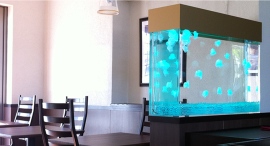 【栃木県限定】オフィス・医療・飲食店に“癒し”を。人工クラゲ水槽の無料導入相談を受付(〜1/30〈金〉)|想芸館 【栃木県限定】オフィス・医療・飲食店に“癒し”を。人工クラゲ水槽の無料導入相談を受付(〜1/30〈金〉)|想芸館