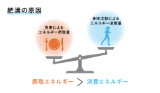 大正健康ナビ、12/10新着情報「脂肪燃焼の仕組みとは？代謝との関係と効率よくやせる方法」を公開！