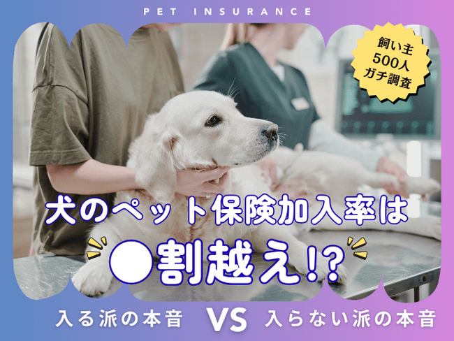 【飼い主500人に調査】犬の保険加入率は驚きの●割超え!「もしも」に備える人が急増中