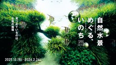 【すみだ水族館】世界に誇るネイチャーアクアリウムの原点を見つめる
「自然水景 めぐる、いのち展」開催