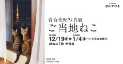 日本全国のネコたちに出あう旅！「岩合光昭写真展 ご当地ねこ」を開催します