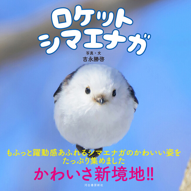 もふもふ（・⊝・）しゅっぱつ！　北海道の冬空を自由自在に飛び回る